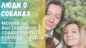 Команда сидеть для выставочной собаки. Можно ли учить этой команде? | Мнение хендлера Анной Жогиной