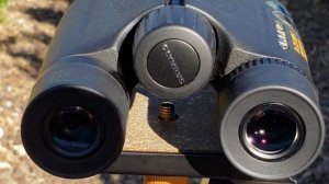 Olympus 8x25 WP I binocular review