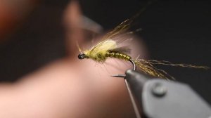 #3 Life Cycle: Mayfly - Fly Tying Tutorial