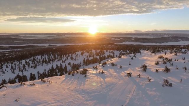 Невероятная красота зимнего леса, the incredible beauty of the winter forest
