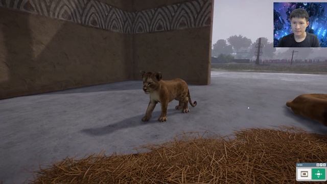 PLANET ZOO Plains Zebra - West African Lion Hunts in Kuala Bintu Taman смотреть онлайн