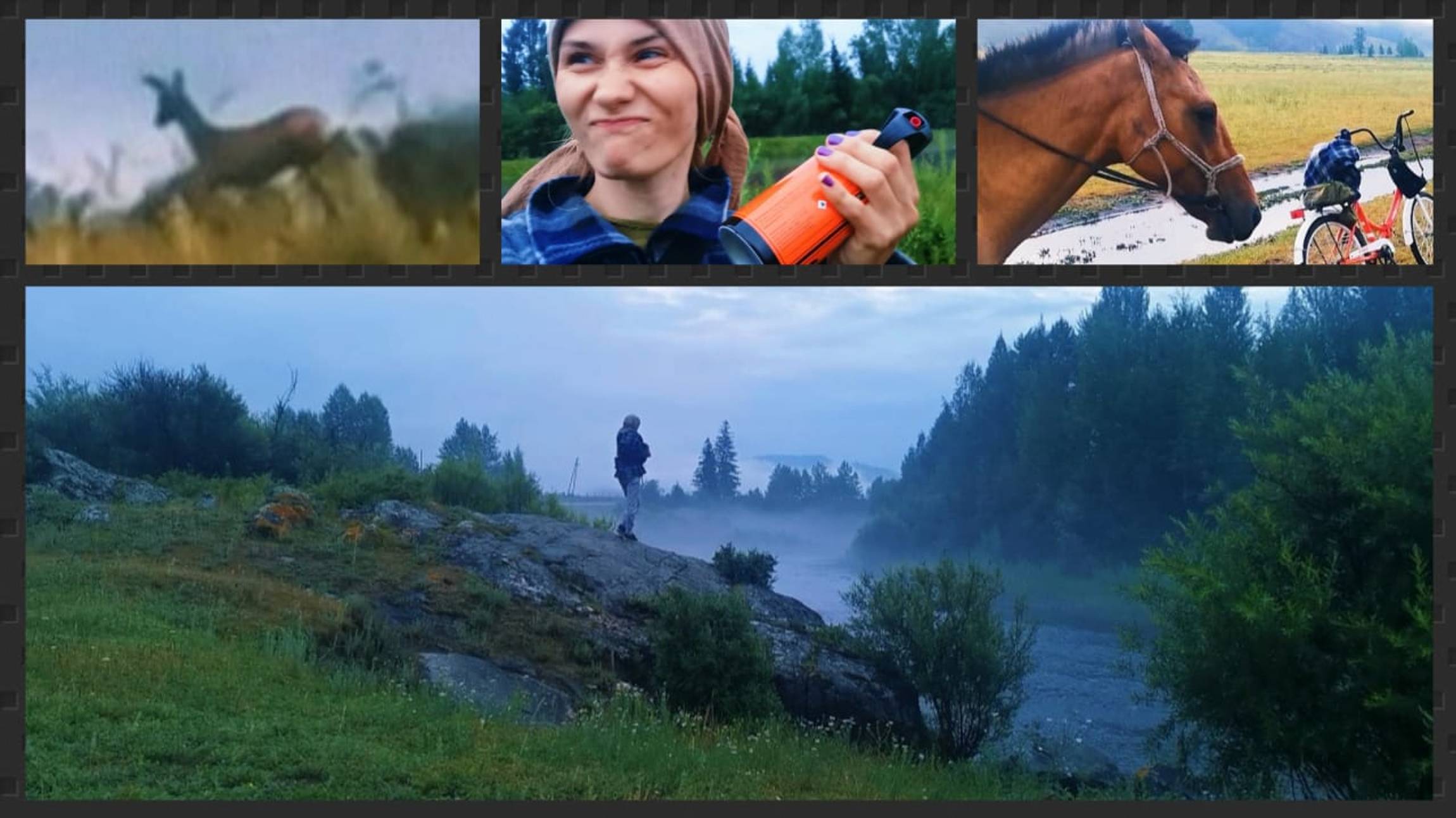 От края до края села. Встреча с косулей, конём, и насекомыми. Насыщенное утро. (12.07.2024)