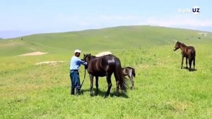 Xonobod shahri Kampirravot suv ombori(Andijon dengizi)