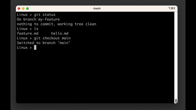 git training | Chapter 20: git checkout смотреть онлайн