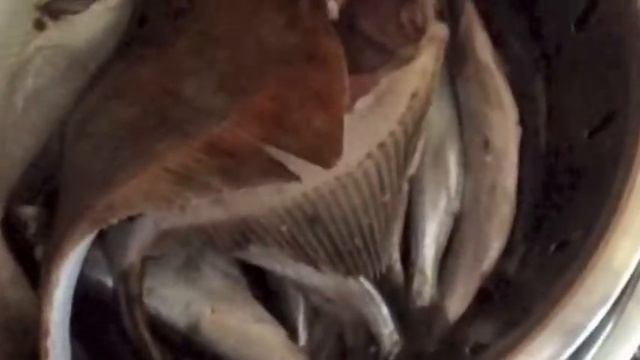 Рыба (салака) в панировке смотреть онлайн