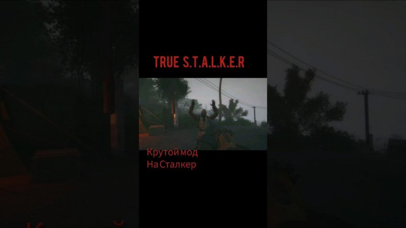 true stalker #subscribe #криминал #survival #action #game #драма