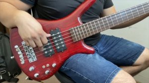 Prueba Warwick RockBass Corvette $$ 5