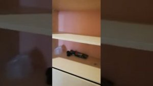 Шкаф-купе в узкую прихожую с балками