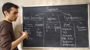 Физиология тонкого и толстого кишечника.