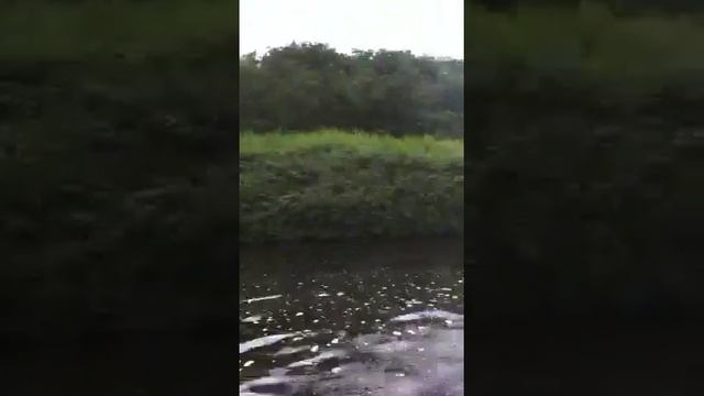 Sea go dinghy 6hp Suzuki top speed смотреть онлайн