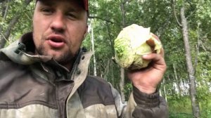 ПРИВАДА НА САШУ СЧАСТЛИВОГО! САЛАФАН ПОПАЛСЯ НА ФОТОЛОВУШКУ! ПУТЕШЕСТВИЕ ПО ЧЕРНОБЫЛЮ! СС-TV