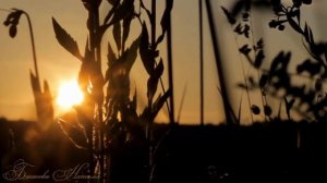 Николай Румянцев Посмотри мне в глаза