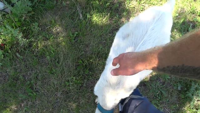 22.06.  Выживаем под палящим солнцем смотреть онлайн