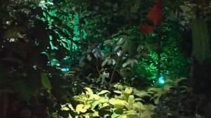 АЗБУКА ТРЭВЕЛ. Презентация отеля Sutera Harbour Resort 5*.Malasya.Borneo.Sabah.