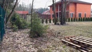 Дренаж болотистого участка! До/После или что мы получили по итогу!?