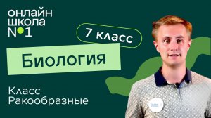 Класс Ракообразные. Видеоурок 15. Биология 7 класс