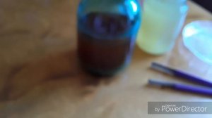 Уксусная матка и чайный гриб.
