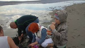 Керчь_грязи.Добываем  чудо грязь. Озеро Чокрак.