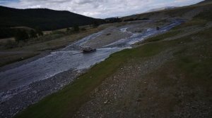 Лиса на Алтае