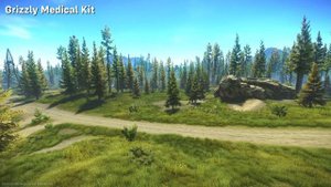 Escape from Tarkov - All Healing and Medical Animations (2023) | 4k