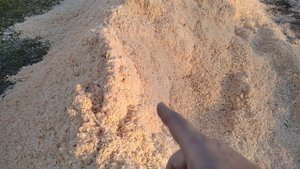 Опилки под грядку или как их можно использовать, и подкисляют ли они почву!