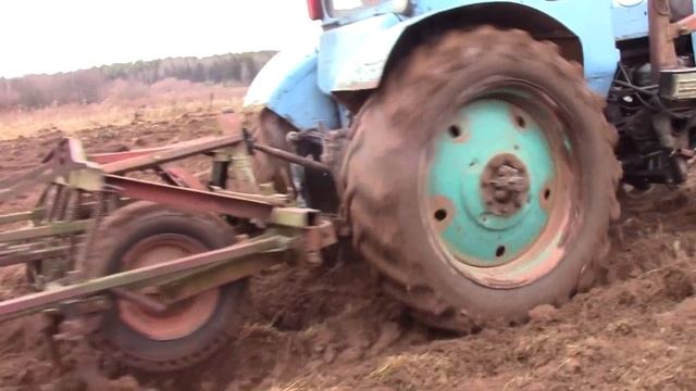 ЗАКАЗАЛ ТОТ ЖЕ ТРАКТОР! КУЛЬТИВАЦИЯ ЗЕМЛИ ПОСЛЕ ВСПАШКИ