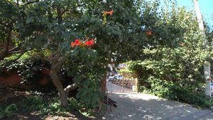 Гостевые дома, ул. Святого Георгия. Город Анапа, п. Витязево