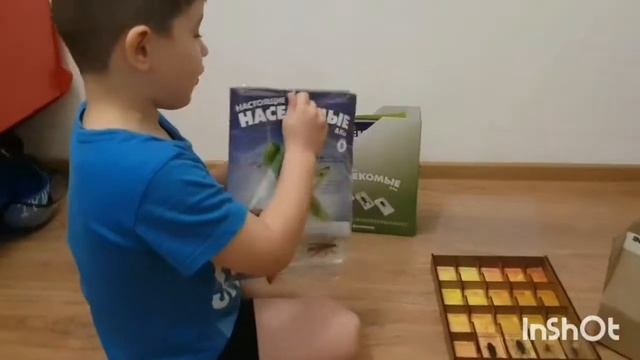 Настоящие Насекомые и Ко 6 выпуск