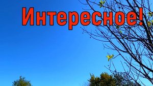 26 сентября Корнилов День. Что нельзя делать 26 сентября. Народные традиции и приметы и суеверия
