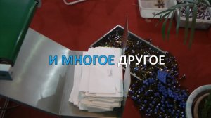Нанесение даты на коробку, этикетку на фармацевтическом производстве Minipress.ru