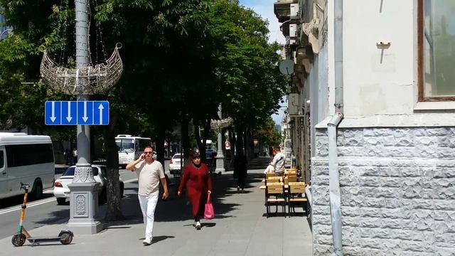 Каштан конский с розовыми цветочками.mp4 смотреть онлайн