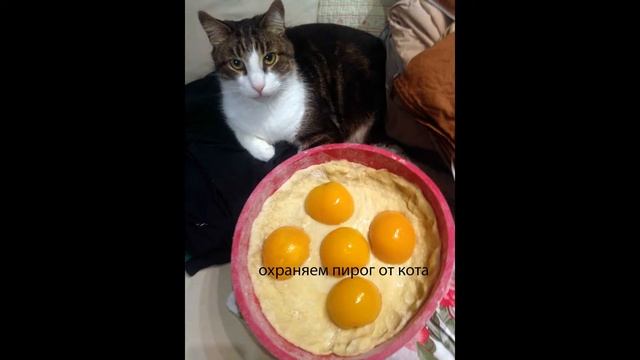 Пирог с персиками #пирог #пирогсперсиками #персиковыйпирог