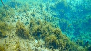 ? Голубое озеро около Уфы | Ураловед