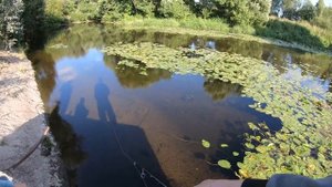 Малая речка.  Юный спиннингист, жерех и окунь.mp4