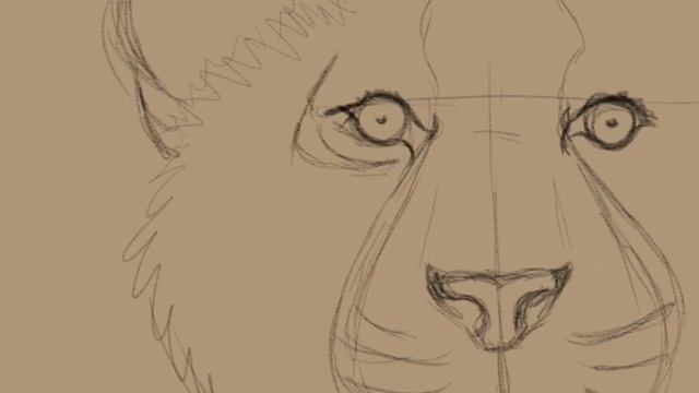 Как нарисовать тигра, подробный скетч. how to draw a tiger. Autodesk Sketchbook смотреть онлайн