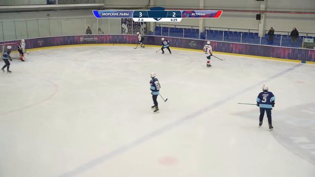 Морские львы - Ястребы || ЛК "Южный лёд" || ОПМ смотреть онлайн