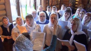 Во Царствии Твоем Знаменного распева. Исполняет любительский хор на Воскресной Литургии 23.02.2020г