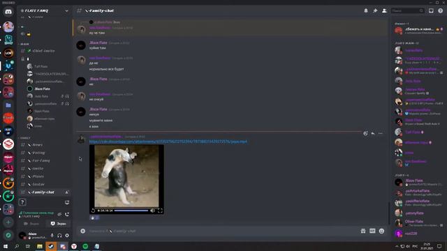 ну там ежик и что смотреть онлайн