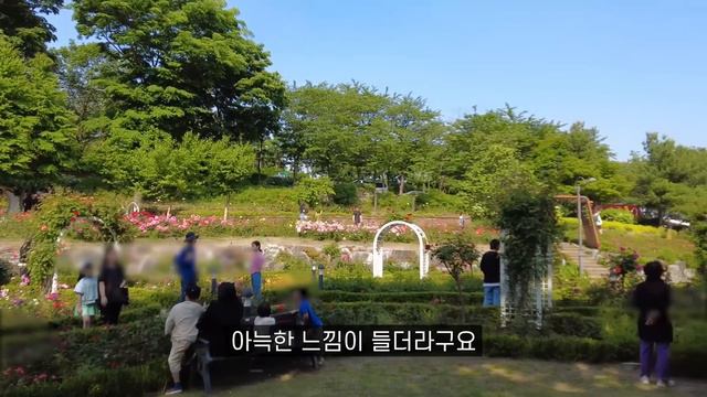 놓치면 후회하는 접근성 좋은 장미 명소 5곳