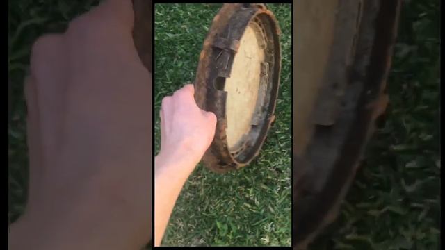 Rare Nissan ‘Hubcap Finds Today (The daily Pot Hole) Part 1