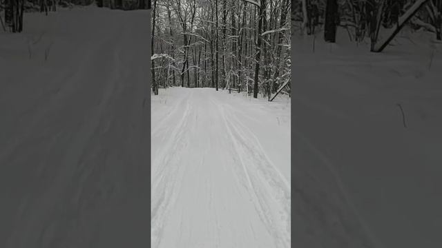 На лыжной трассе в городе Чебоксары в канун Нового года. #shorts