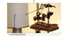 Гладкая мышца