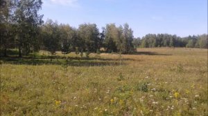 Родной посёлок Лесниковский