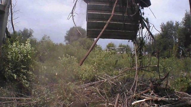 РАБОТА НА ЭКСКАВАТОРЕ. КАК Я СЕГОДНЯ РАБОТАЛ НА ЭКСКАВАТОРЕ. ПОГРУЗКА,УБОРКА ВЕТОК ЭКСКАВАТОРОМ.
