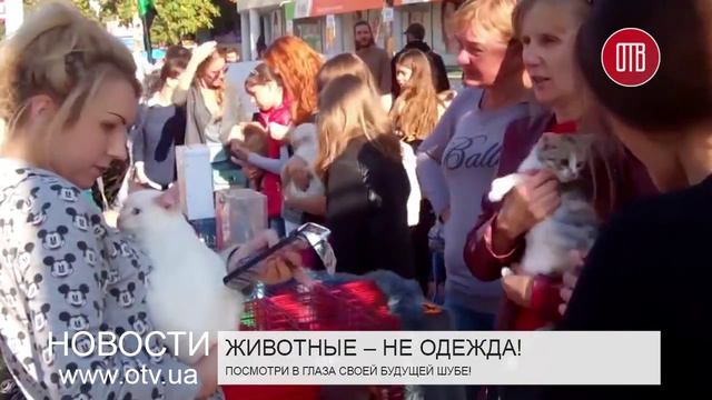Животные – не одежда! (06.10.2015) смотреть онлайн