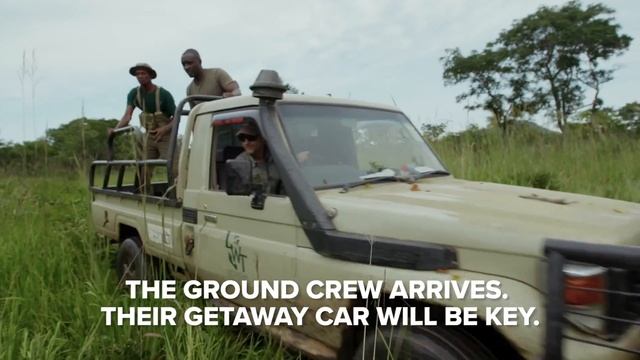 Baby Monkey SAVED | African Wildlife Rescue Compilation | Love Nature смотреть онлайн