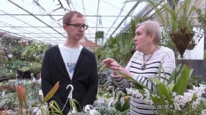 Орхидея Целогина.