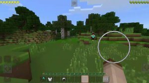 Магазин магнит