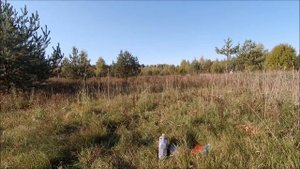 Расчистка участка от зарослей