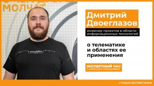 Дмитрий Двоеглазов о телематике / Экспертный час / Радио Sputnik Пермь